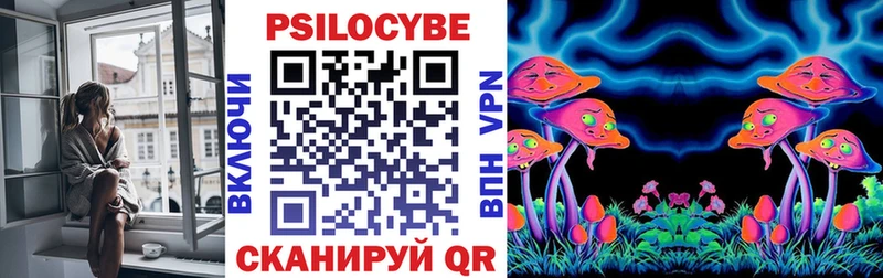 сколько стоит  Тайшет  Псилоцибиновые грибы мицелий 